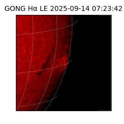 gong - 2025-09-14T07:23:42