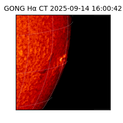 gong - 2025-09-14T16:00:42