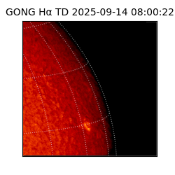 gong - 2025-09-14T08:00:22