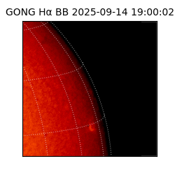gong - 2025-09-14T19:00:02