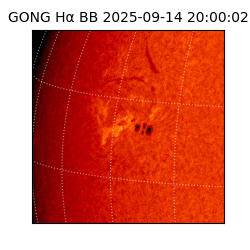 gong - 2025-09-14T20:00:02