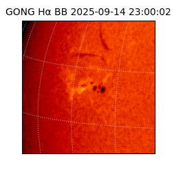gong - 2025-09-14T23:00:02