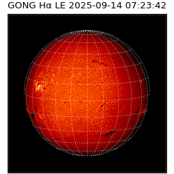 gong - 2025-09-14T07:23:42