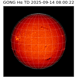 gong - 2025-09-14T08:00:22