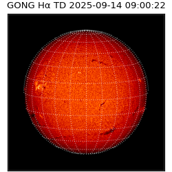 gong - 2025-09-14T09:00:22