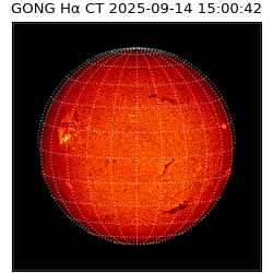 gong - 2025-09-14T15:00:42