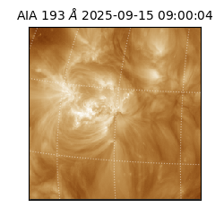saia - 2025-09-15T09:00:04.843000