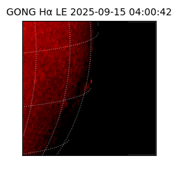 gong - 2025-09-15T04:00:42