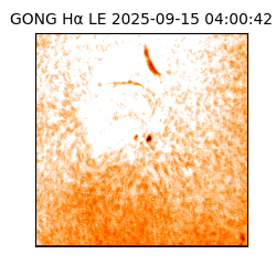 gong - 2025-09-15T04:00:42