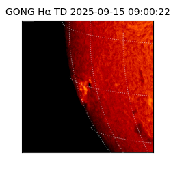 gong - 2025-09-15T09:00:22
