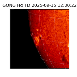 gong - 2025-09-15T12:00:22