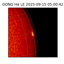 gong - 2025-09-15T05:00:42