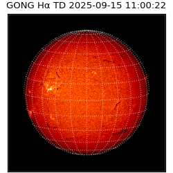 gong - 2025-09-15T11:00:22