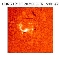 gong - 2025-09-16T15:00:42