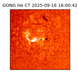 gong - 2025-09-16T16:00:42