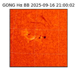 gong - 2025-09-16T21:00:02