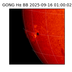 gong - 2025-09-16T01:00:02