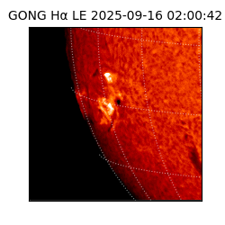 gong - 2025-09-16T02:00:42