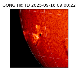 gong - 2025-09-16T09:00:22