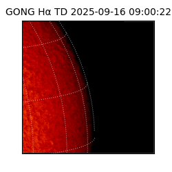 gong - 2025-09-16T09:00:22