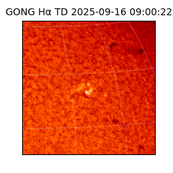gong - 2025-09-16T09:00:22