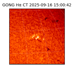 gong - 2025-09-16T15:00:42