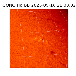 gong - 2025-09-16T21:00:02