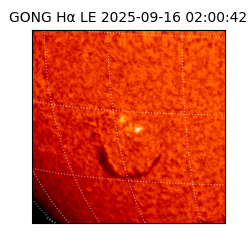 gong - 2025-09-16T02:00:42