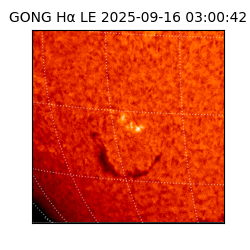 gong - 2025-09-16T03:00:42