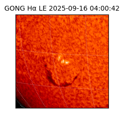 gong - 2025-09-16T04:00:42