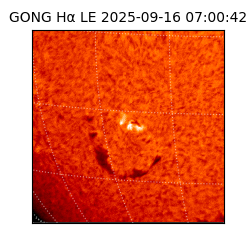 gong - 2025-09-16T07:00:42