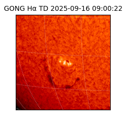 gong - 2025-09-16T09:00:22