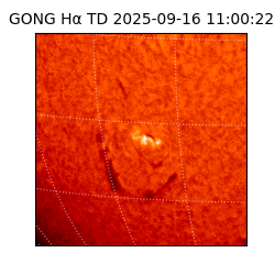 gong - 2025-09-16T11:00:22