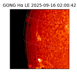 gong - 2025-09-16T02:00:42