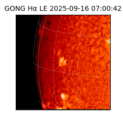 gong - 2025-09-16T07:00:42