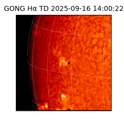 gong - 2025-09-16T14:00:22