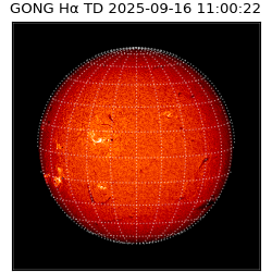 gong - 2025-09-16T11:00:22