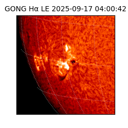 gong - 2025-09-17T04:00:42