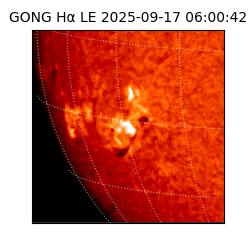 gong - 2025-09-17T06:00:42