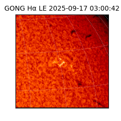 gong - 2025-09-17T03:00:42