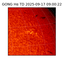 gong - 2025-09-17T09:00:22