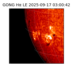 gong - 2025-09-17T03:00:42