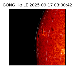 gong - 2025-09-17T03:00:42