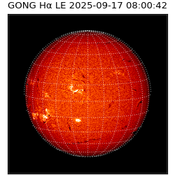 gong - 2025-09-17T08:00:42