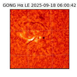 gong - 2025-09-18T06:00:42