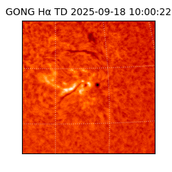 gong - 2025-09-18T10:00:22