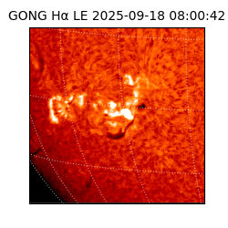 gong - 2025-09-18T08:00:42