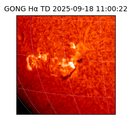 gong - 2025-09-18T11:00:22