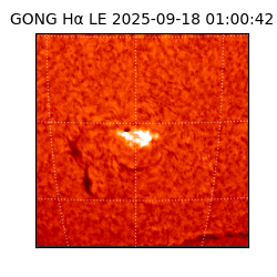 gong - 2025-09-18T01:00:42