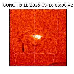 gong - 2025-09-18T03:00:42
